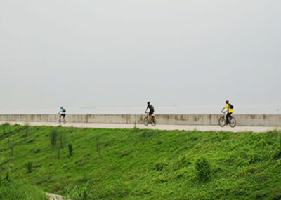 骑行海鸥岛