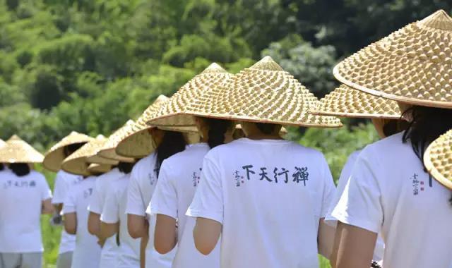 灵隐寺2017【禅修天下】修学营 