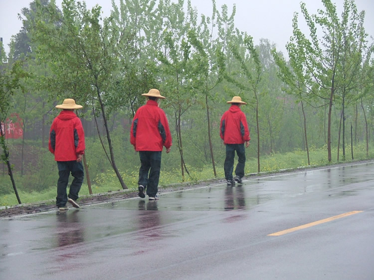 雨中行走