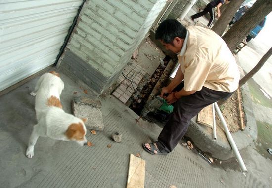 狗妈妈在困住小狗下水道旁坚守2天1夜(组图)