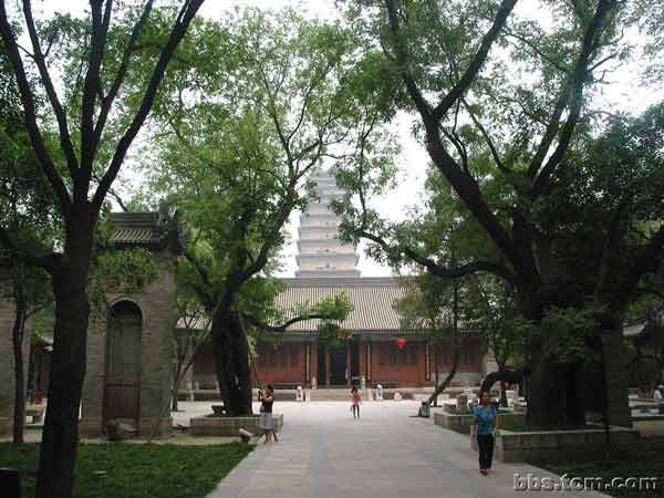 荐福寺西安市陕西寺院