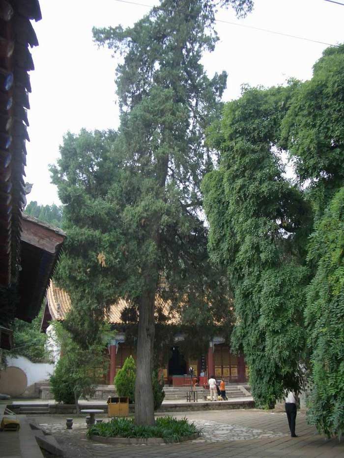 天水南郭寺—天水市—甘肃寺院