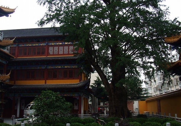 福泉寺南汇上海寺院