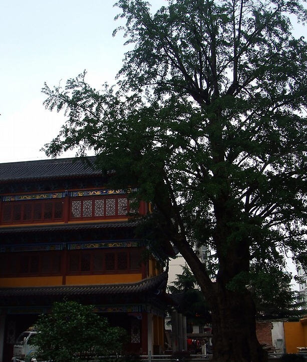 福泉寺南汇上海寺院