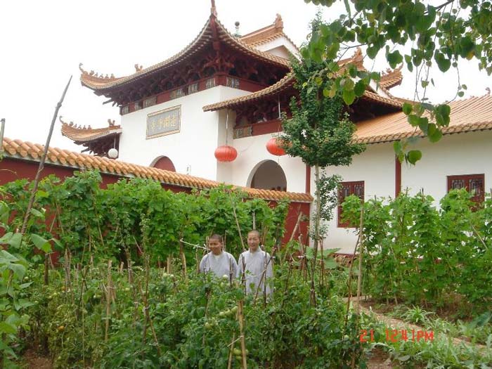 南雄莲开净寺韶关广东寺院