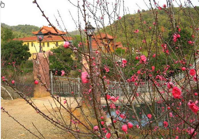 海印寺龙岩福建寺院