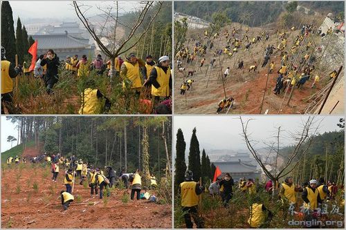 净宗祖庭庐山东林寺举行植树祈福法会