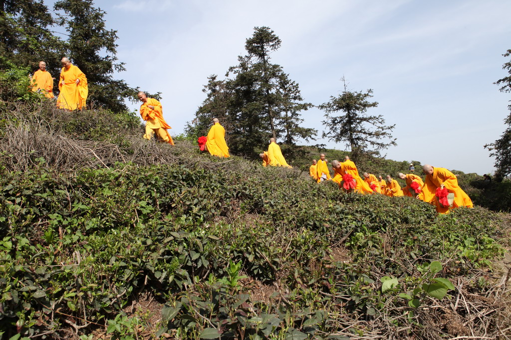 天赐祥瑞，我寺鈥溡换嵋唤阝澰猜淠