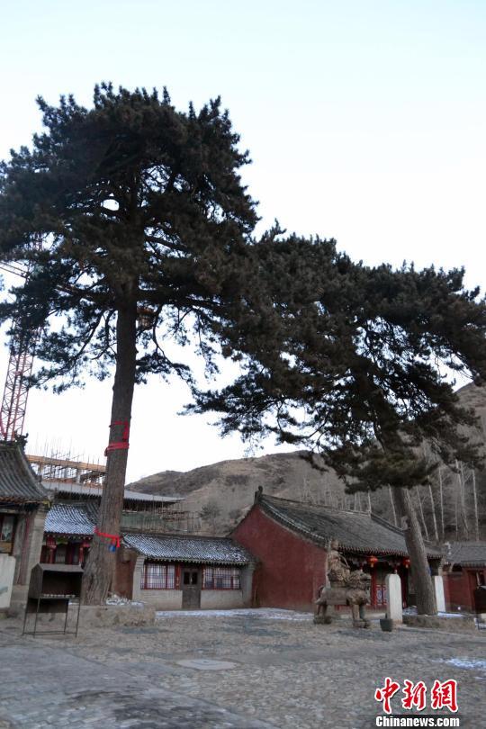 探访五台山千年古寺隐居僧人传统与现代生活