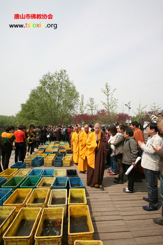 天心明月 真照无边--净慧长老示寂周年追思法会