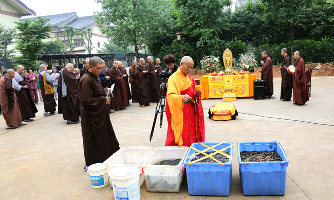 【东林大佛】文殊菩萨圣诞日 祝圣放生利有情