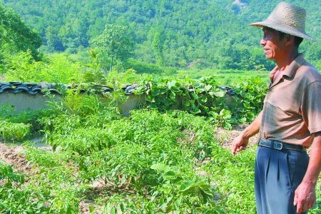 23岁小伙因父母娇惯懒惰成性饿死家中