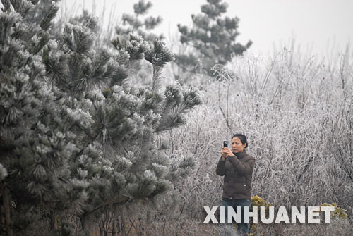 山东烟台出现雾凇景观[组图]