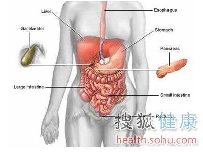 肠道菌群失调会致病