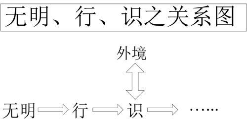 表29-2 无明、行、识之关系图