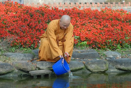 鲤鱼救子的感人故事