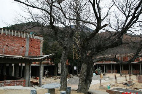 泰安白马禅寺泰安山东寺院